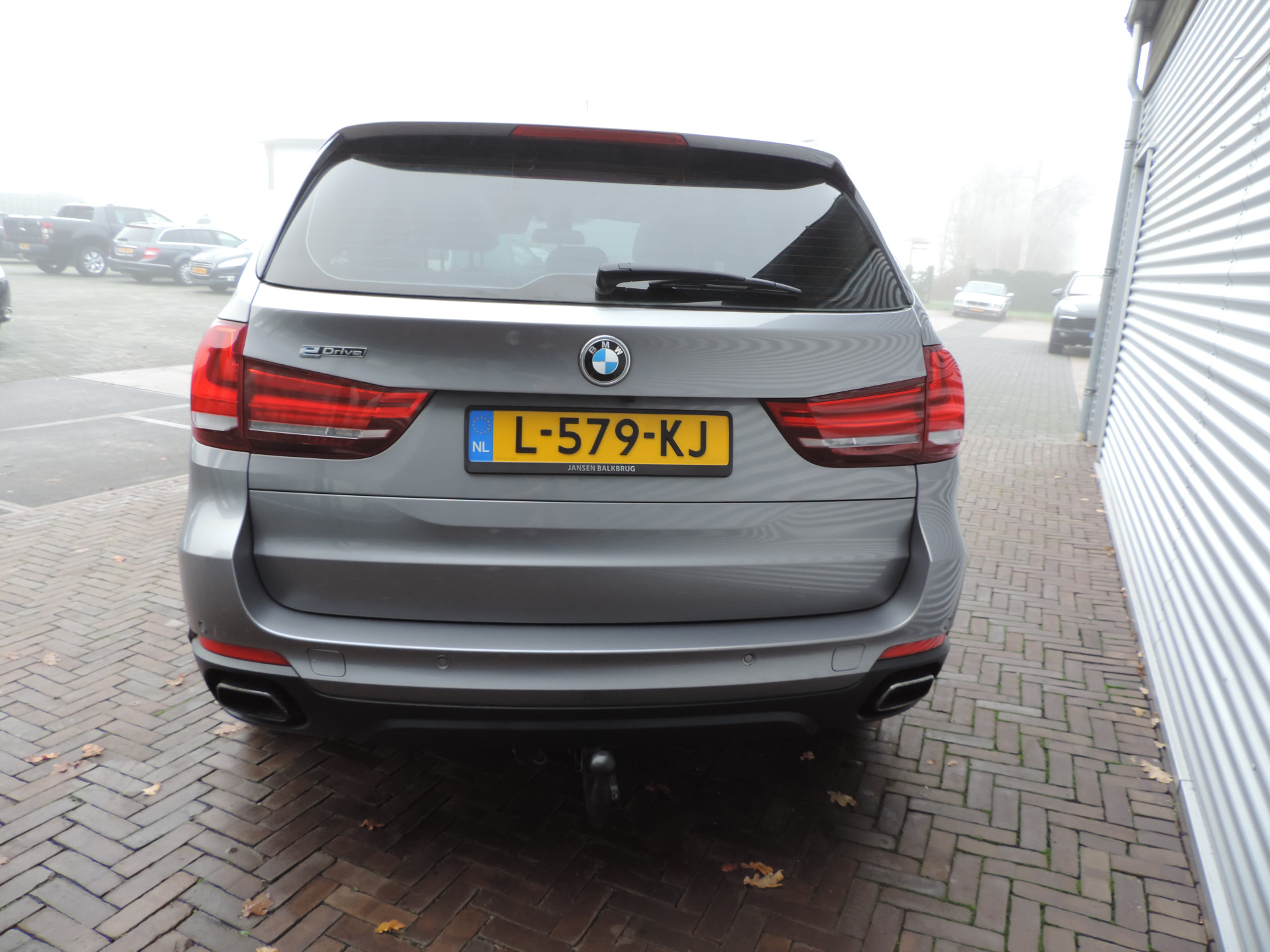 49539132-8.jpg