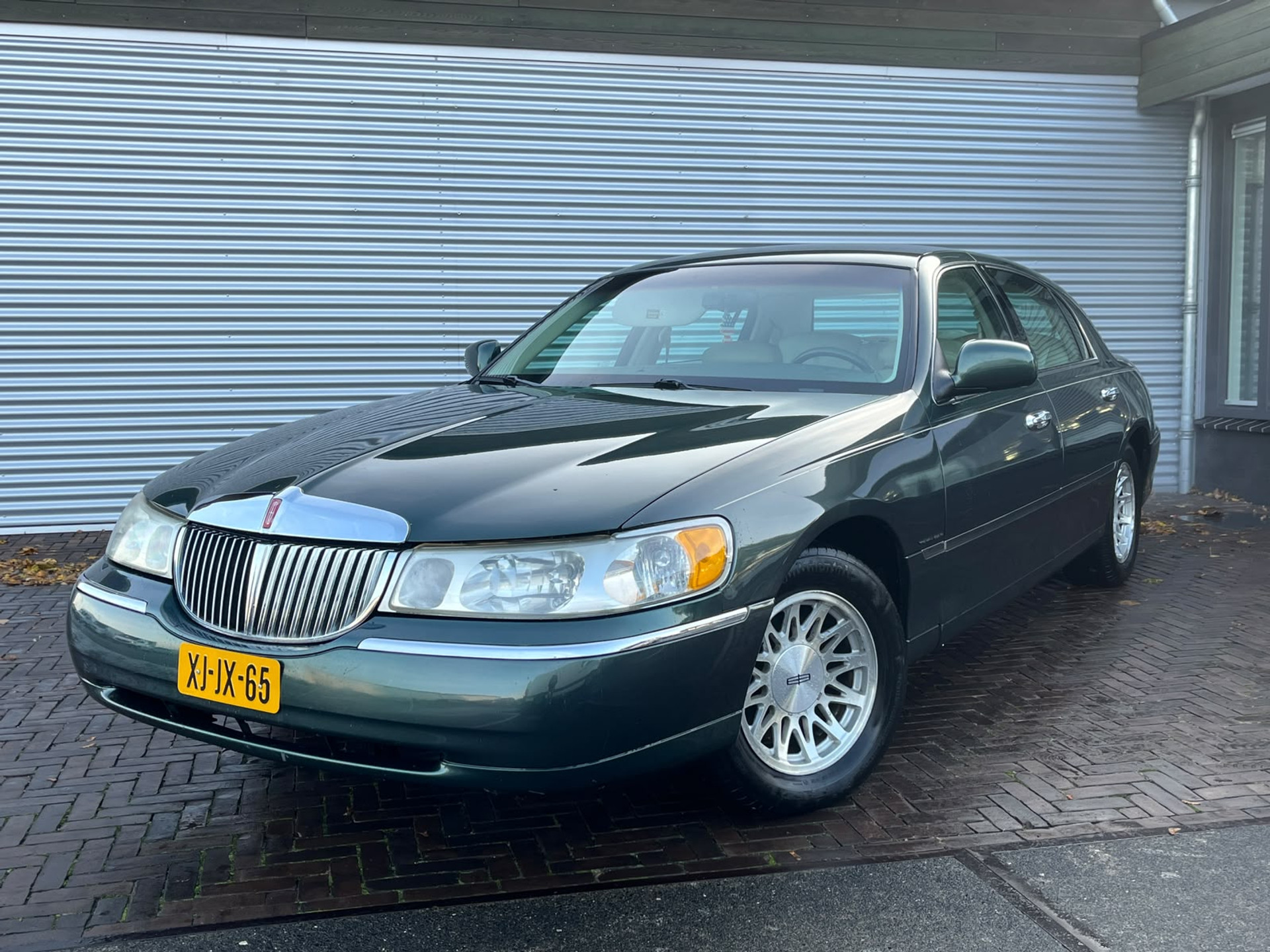 56156168-26.jpg